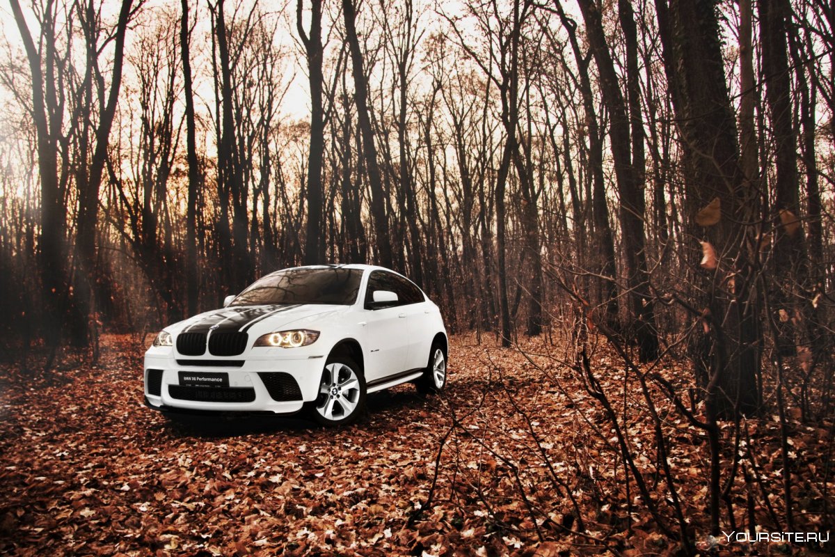 BMW белый x6 осенью