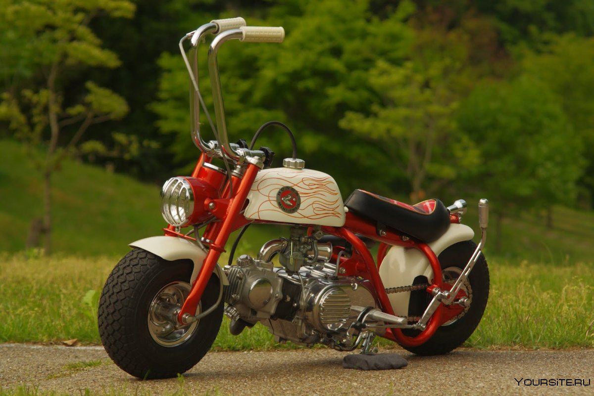 Mini Bike