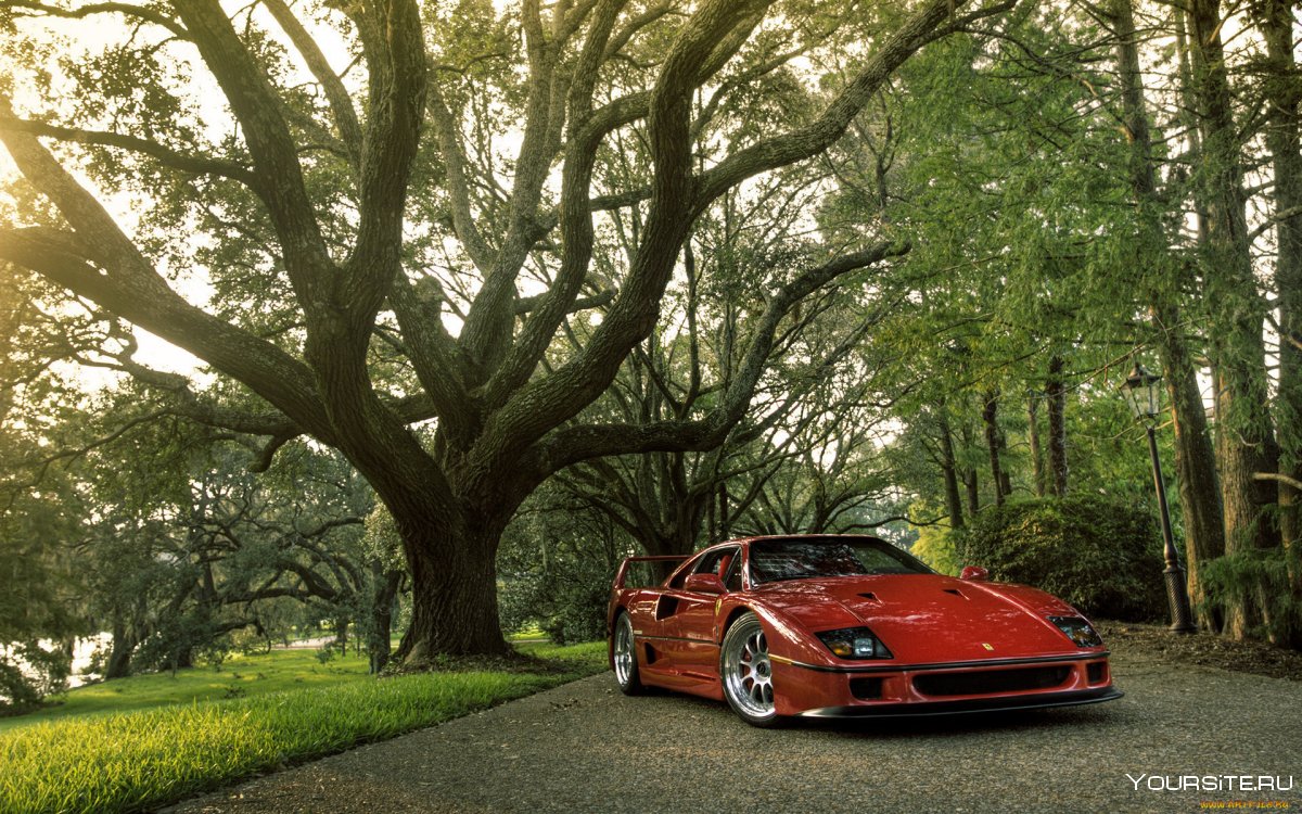 Ferrari f40 в парке