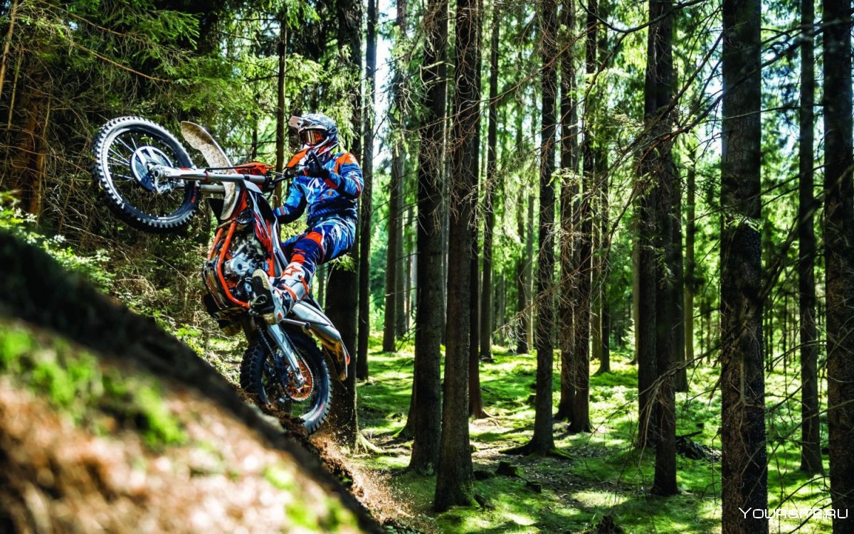 KTM Freeride 250 2020