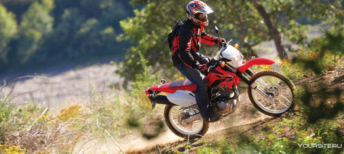 Honda crf1000l
