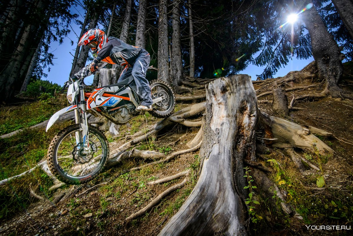 Freeride e-XC 2020