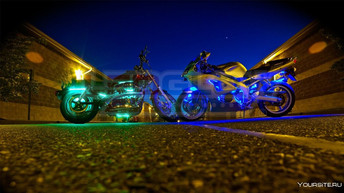 Панда на мотоцикле с неоновой подсветкой