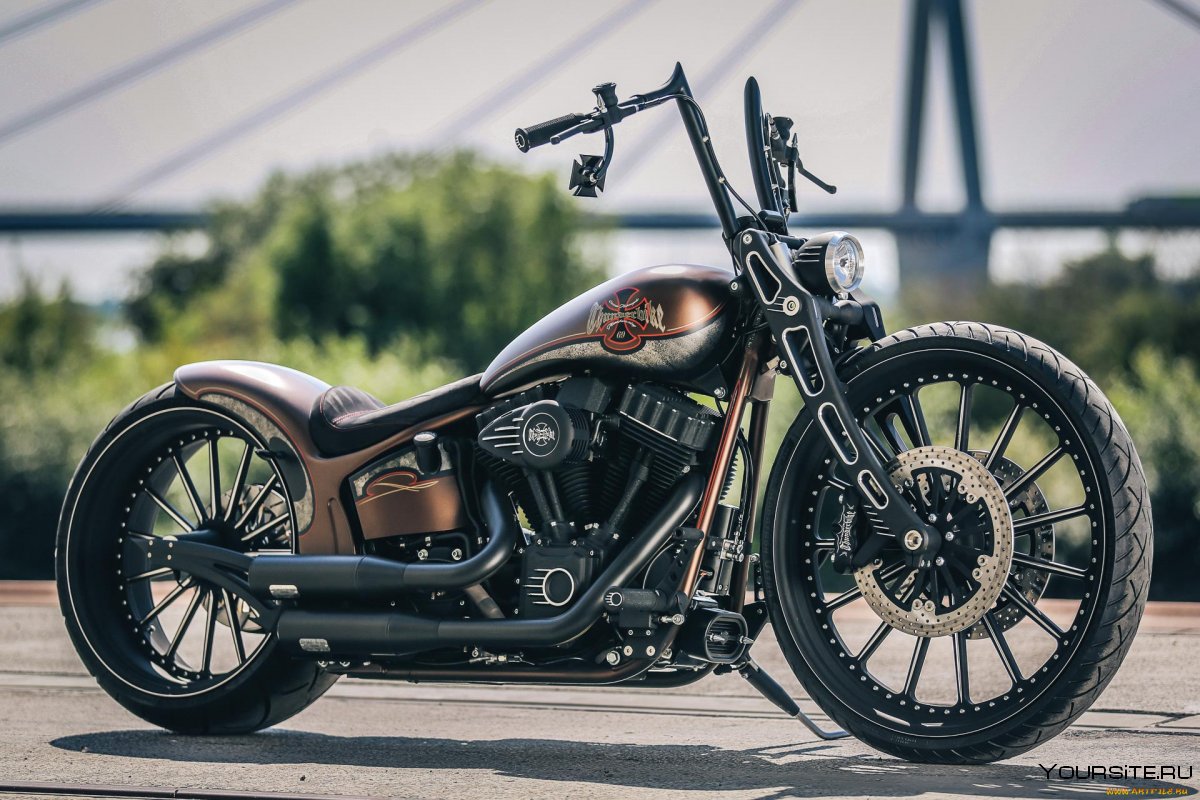 Мотоциклы Harley Davidson Thunderbike