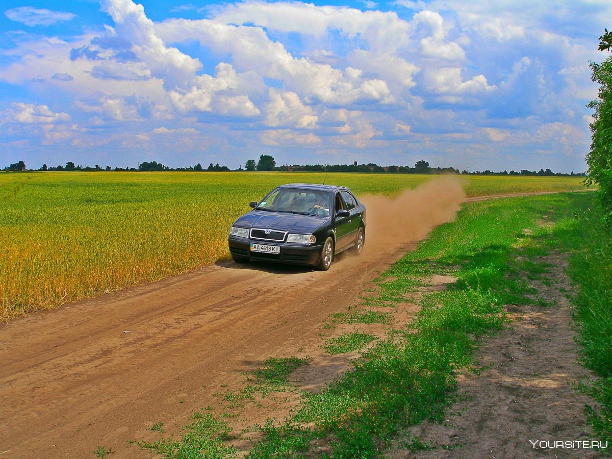 Автомобиль природа поле