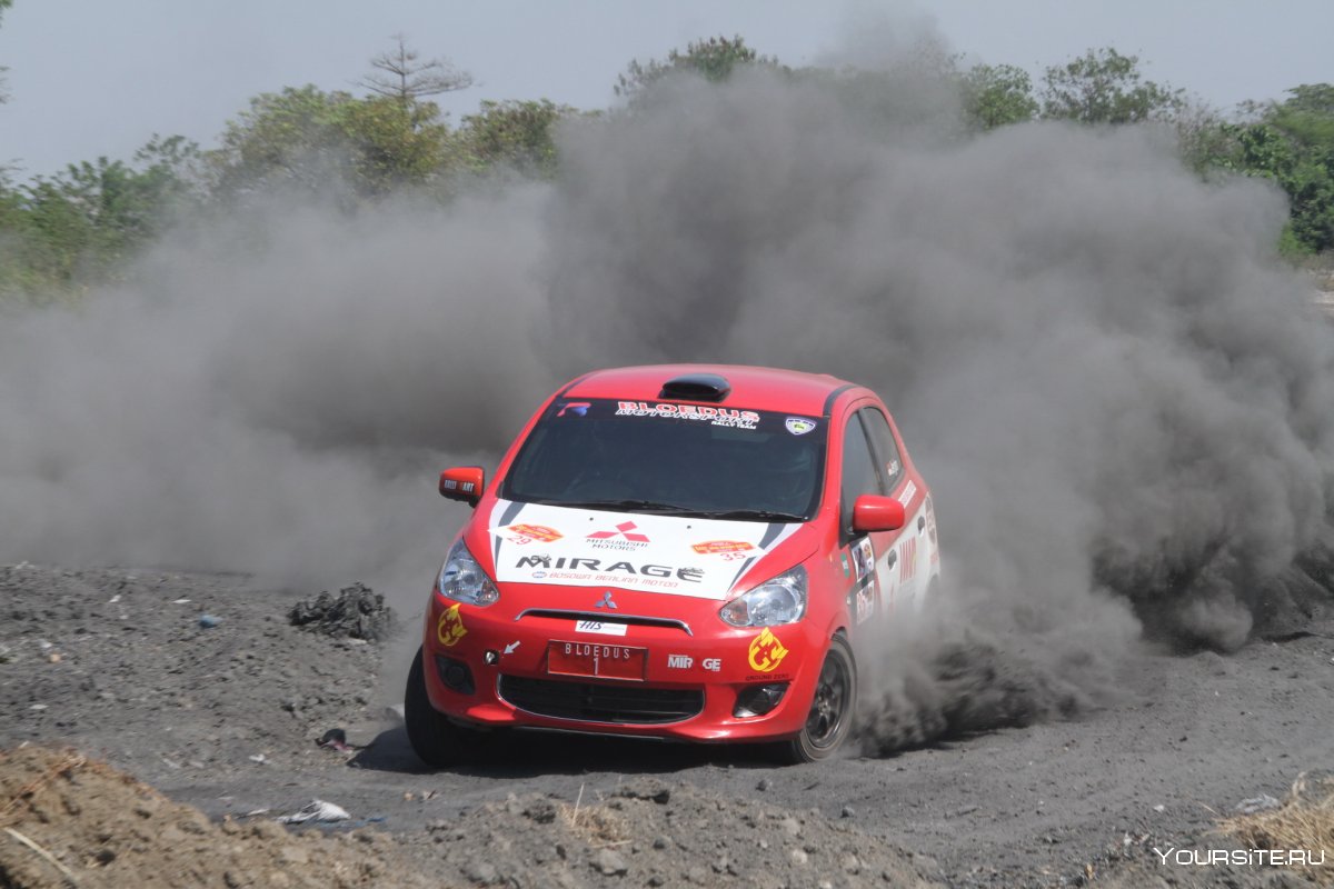 Сандеро WRC