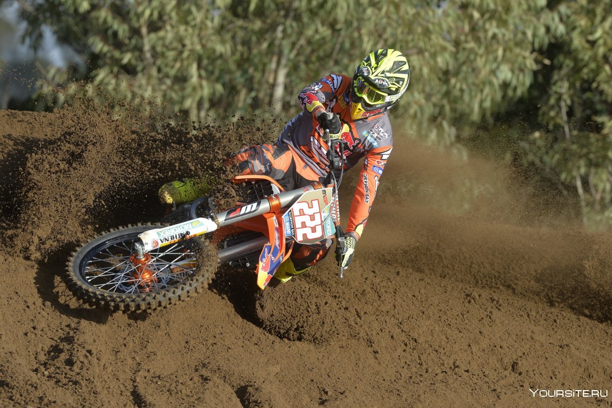 Antonio Cairoli vector