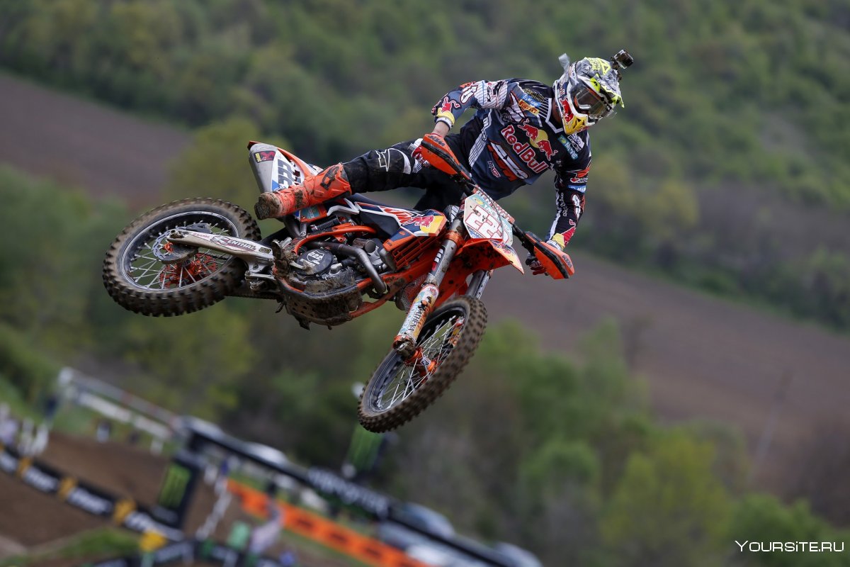Antonio Cairoli vector