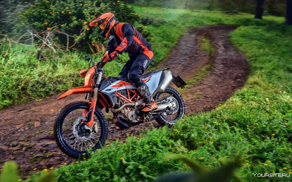 690 Enduro r