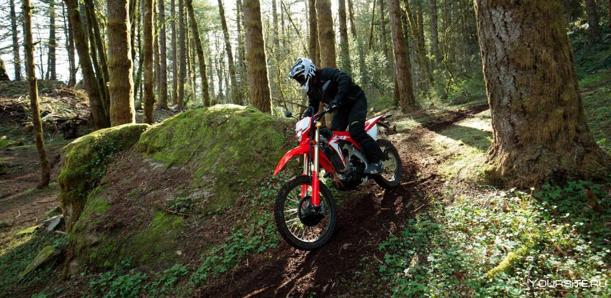 Honda CRF 250 В лесу