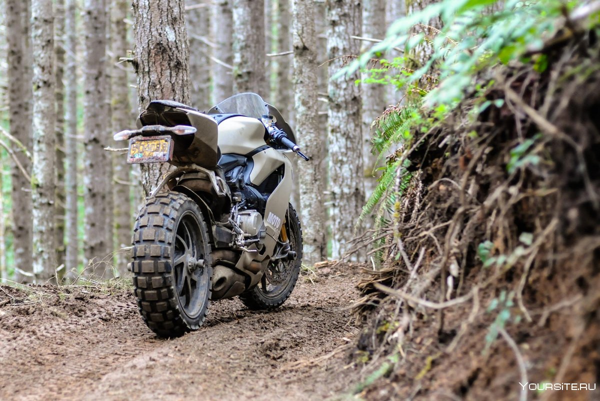 Ducati TERRACORSA