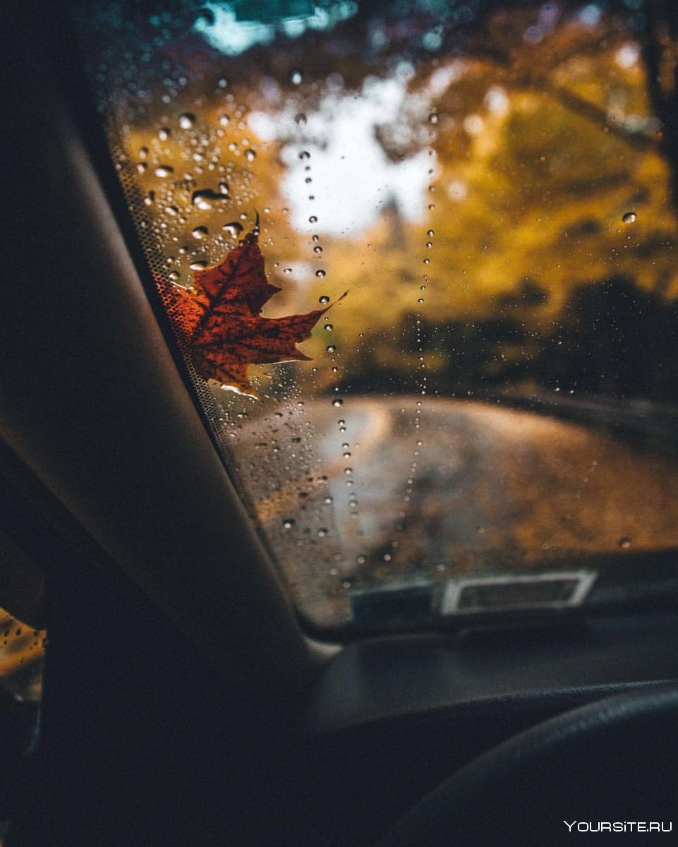 Осень из окна машины