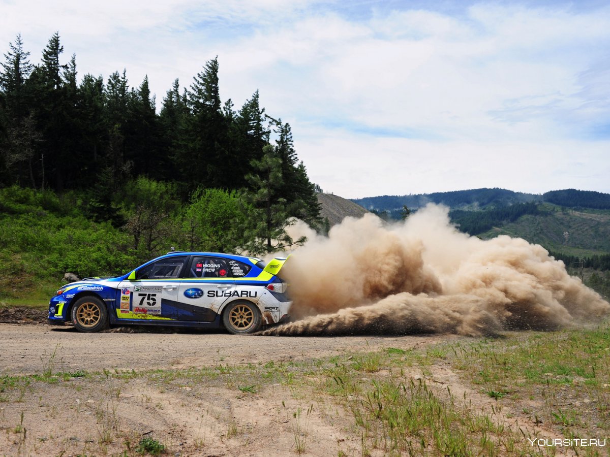Subaru Rally car