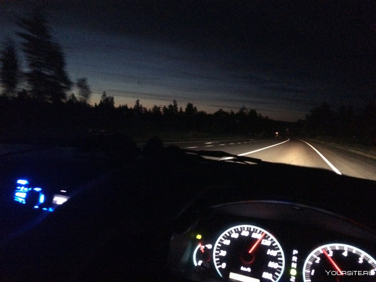 Вид из машины ночью в лесу