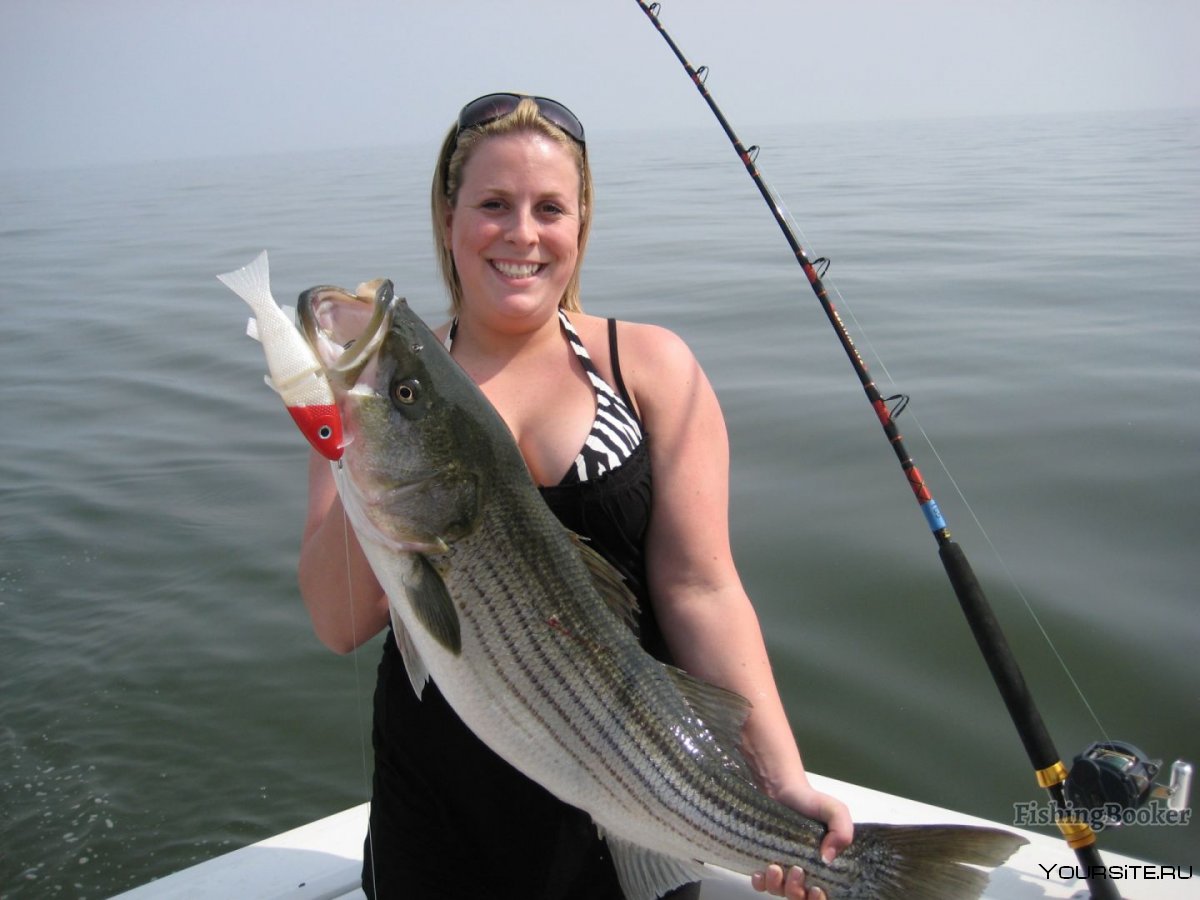 Fishing Sport