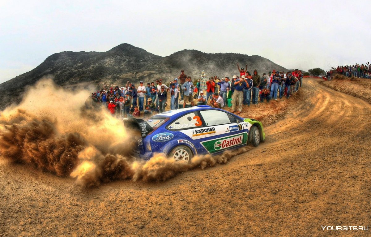 WRC Rally Fans