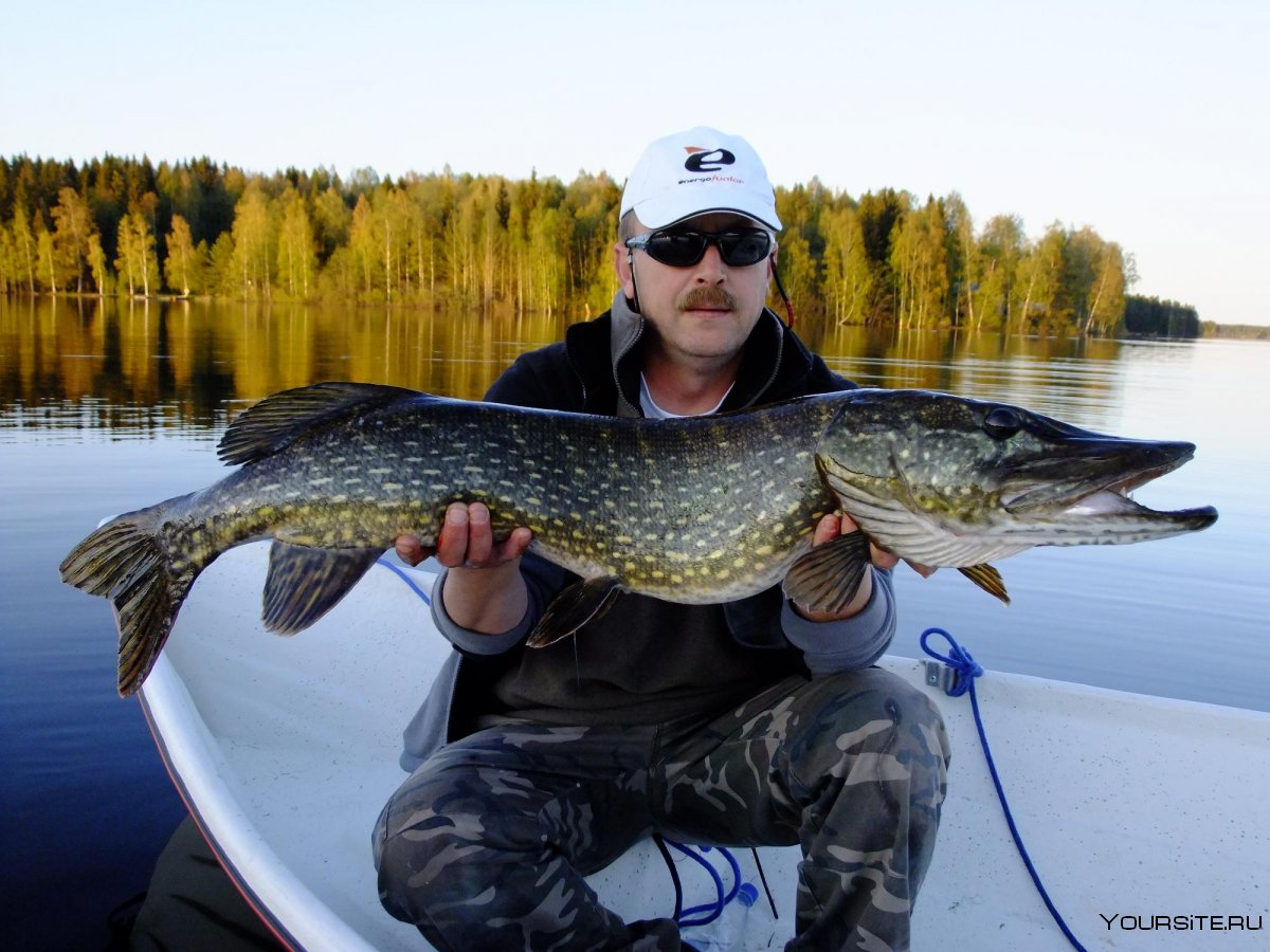 Финляндия Озёрная рыбалка