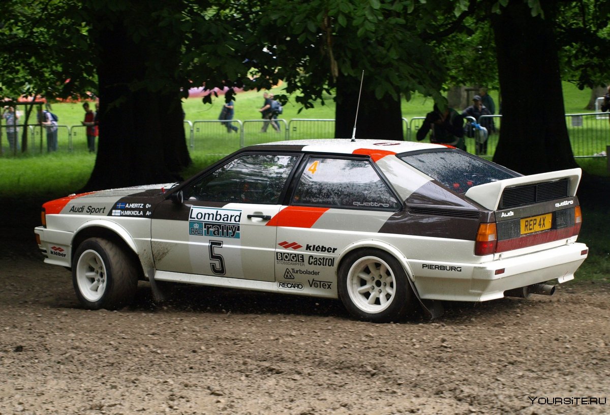 Audi 80 quattro Rally