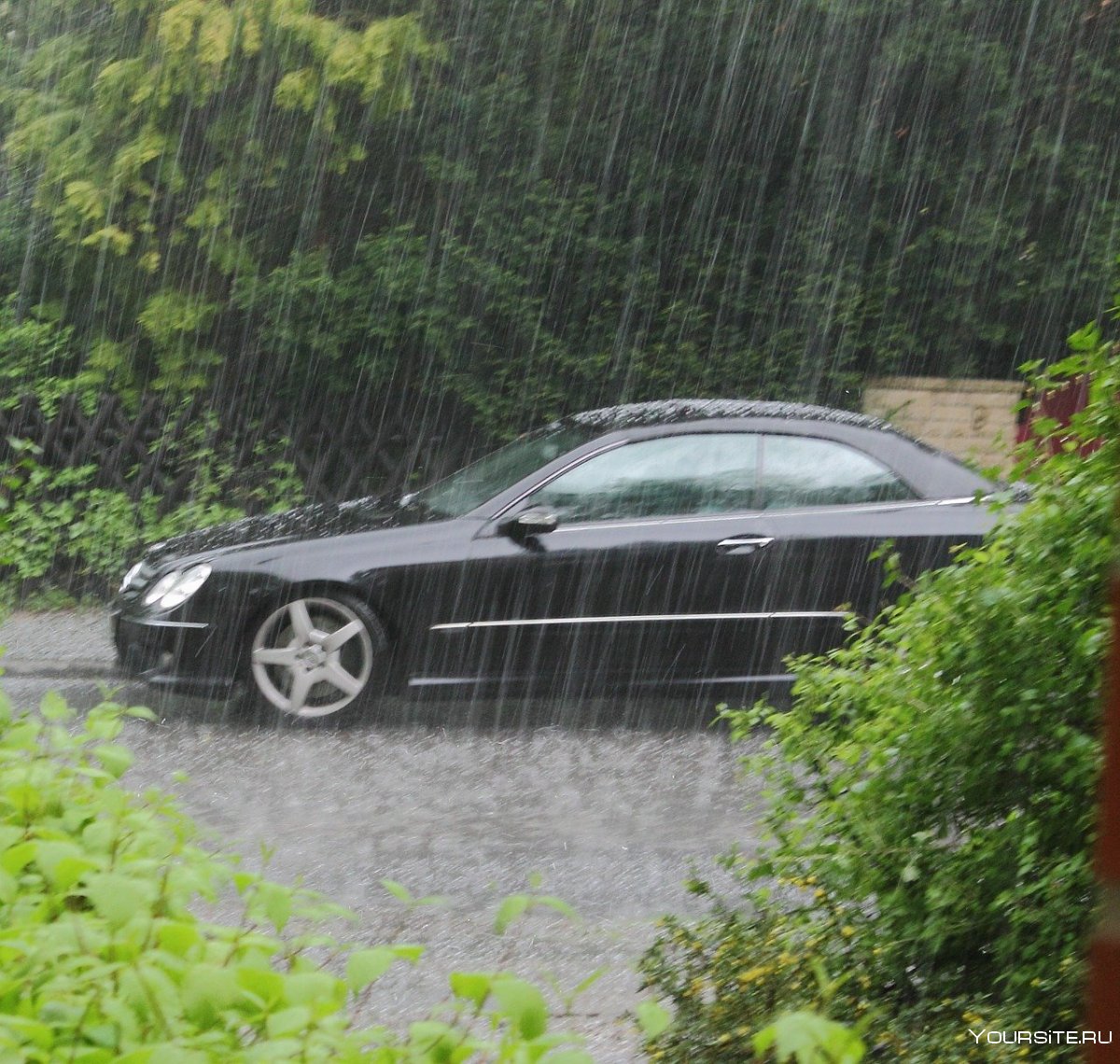 Автомобиль дождь