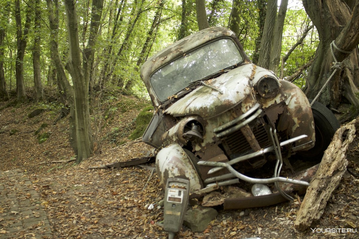 Старые автомобили брошенные в лесу