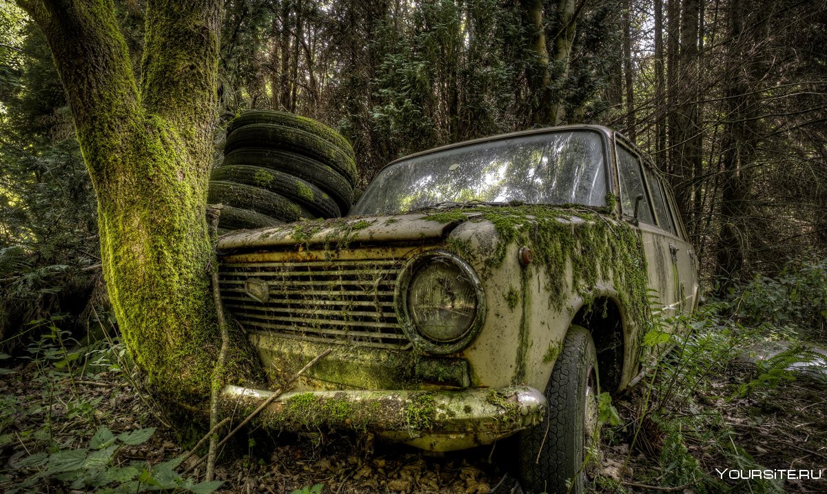 Брошенные автомобили в лесу
