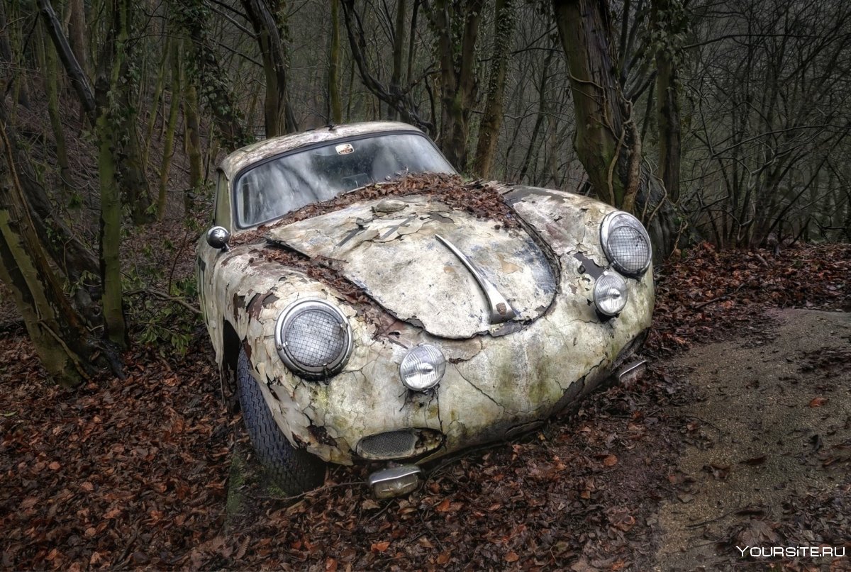 Заброшенные машины в лесу