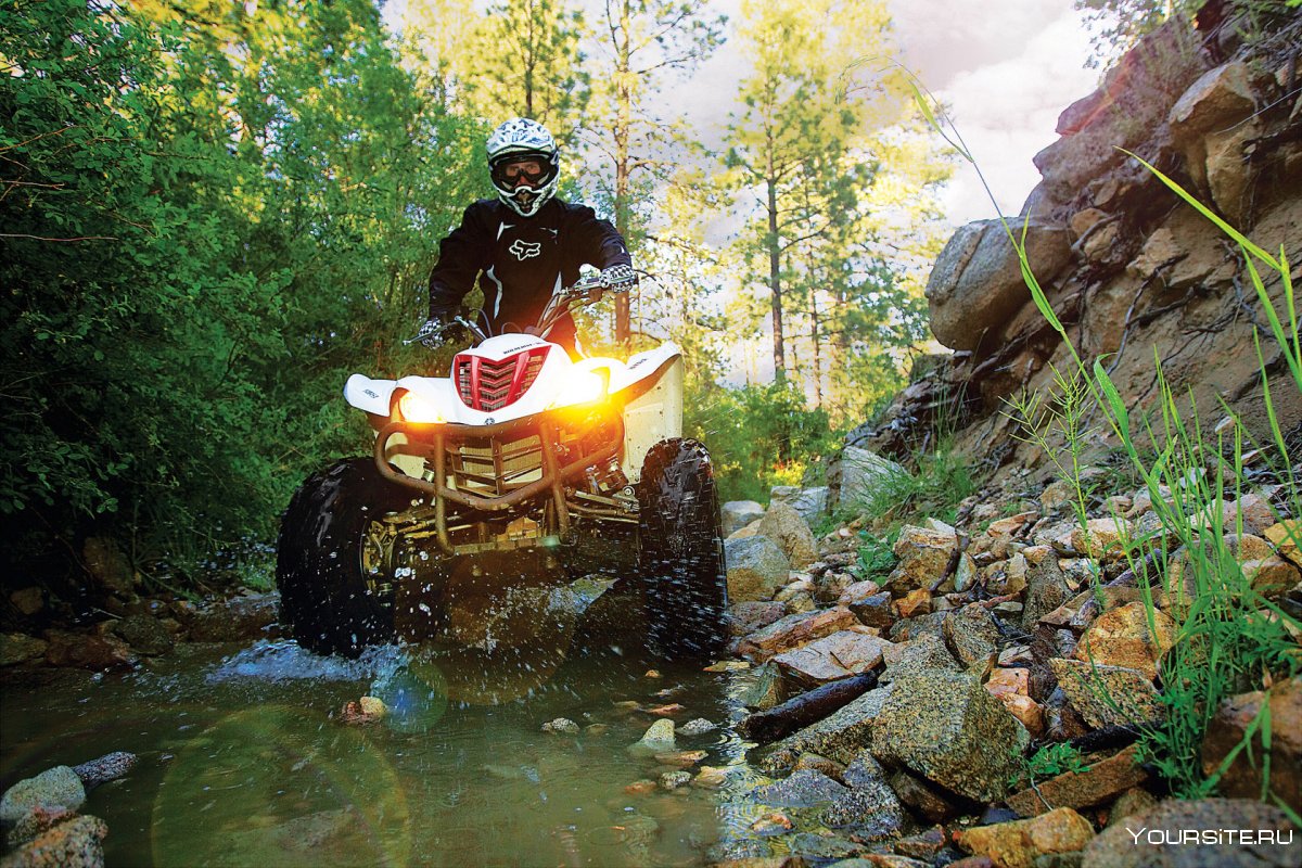 Yamaha Wolverine 450