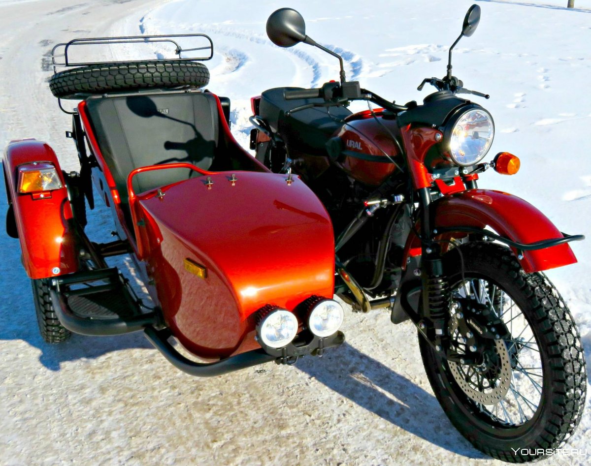Suzuki tl1000 Custom