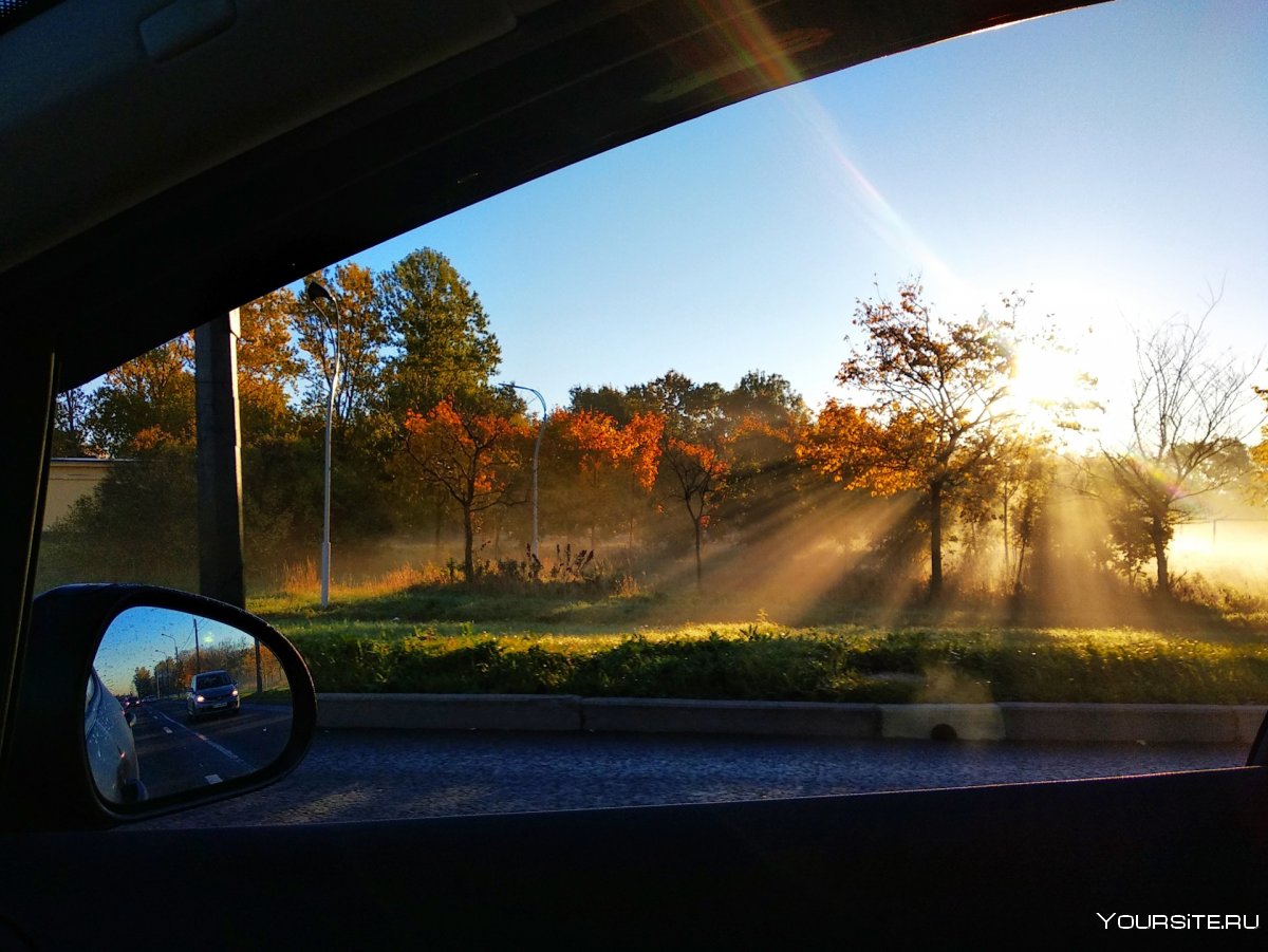Осень вид из машины
