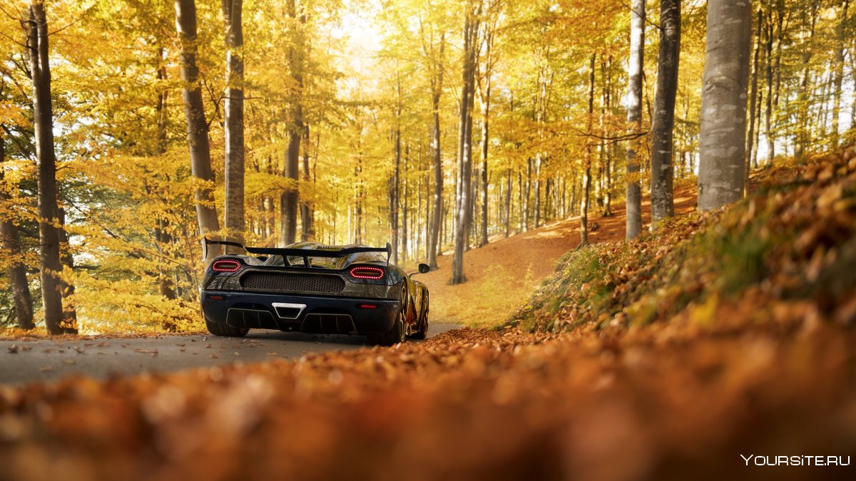 Agera RS на фоне леса
