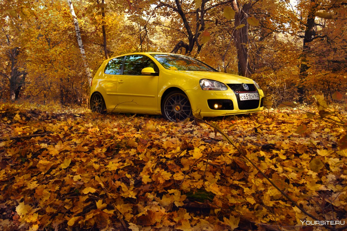 Золотая осень автомобиль