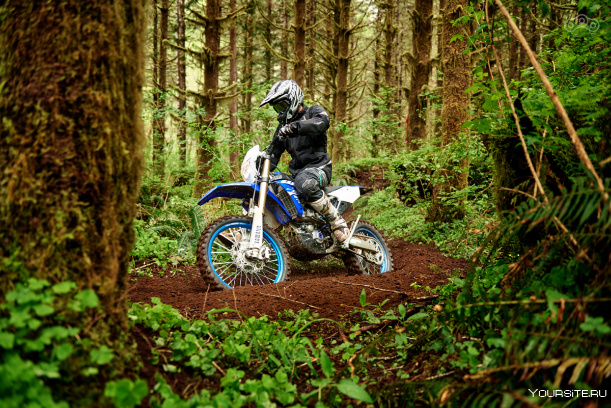 Yamaha WR 450 обои