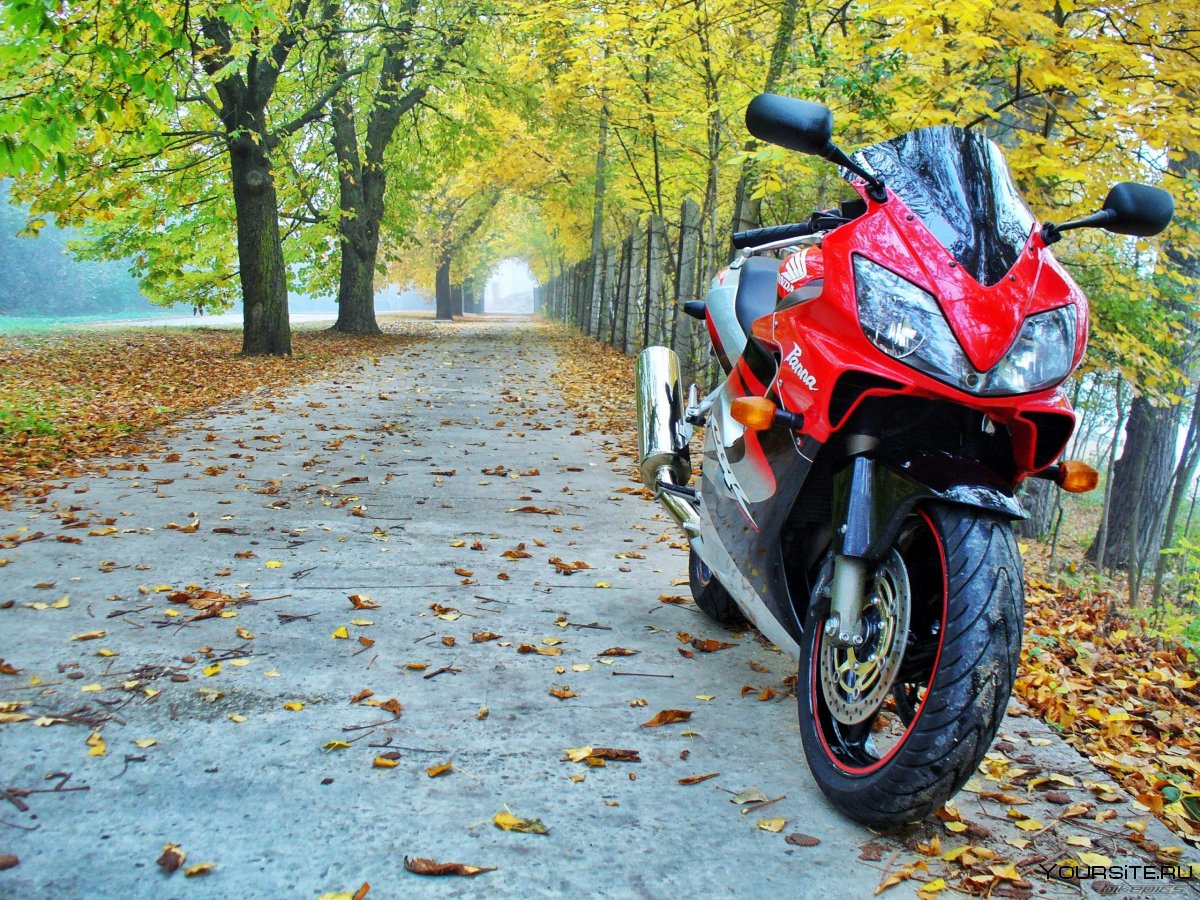 Kawasaki z1000 HD