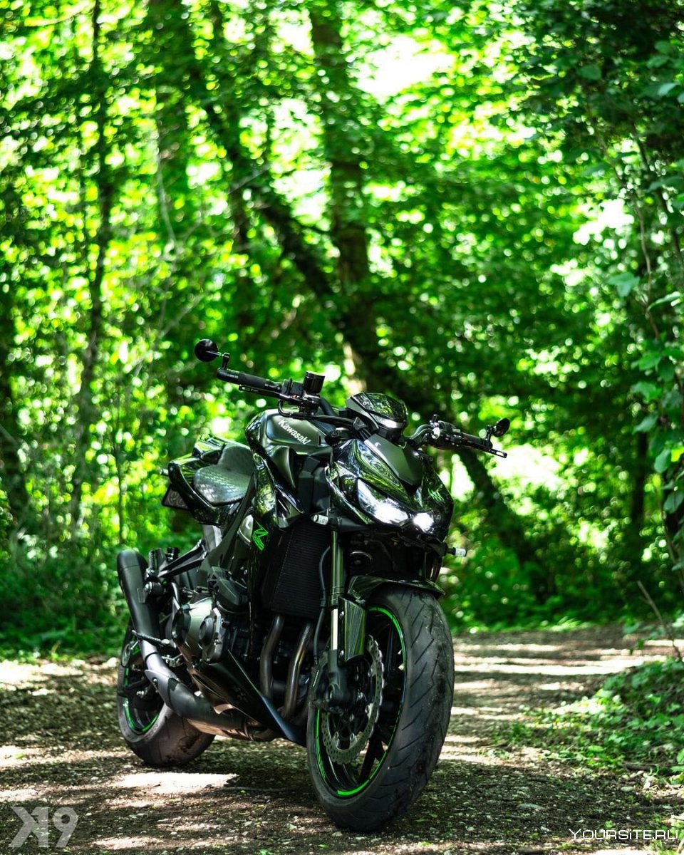 R NINET Urban g/s