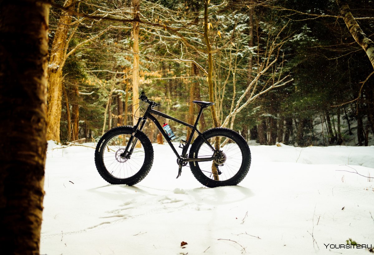Велосипед в зимнем лесу