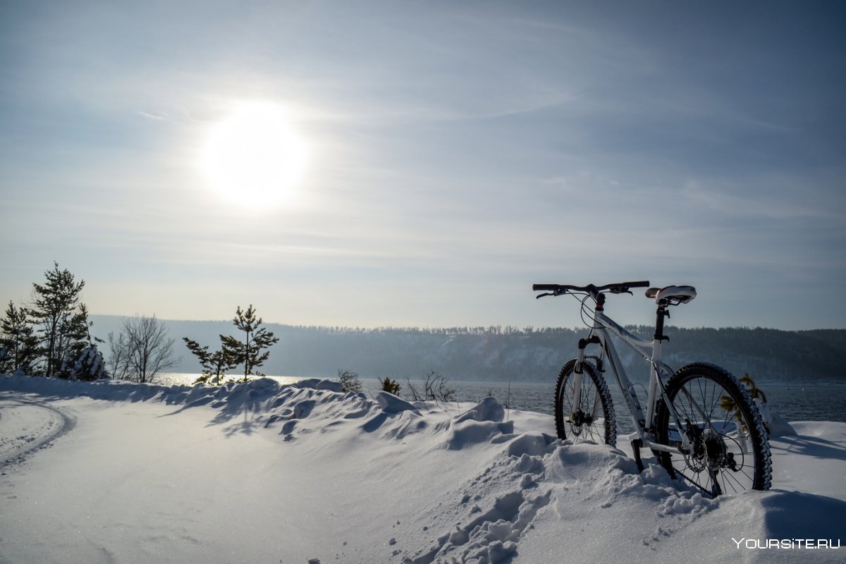 Велосипед в зимнем лесу