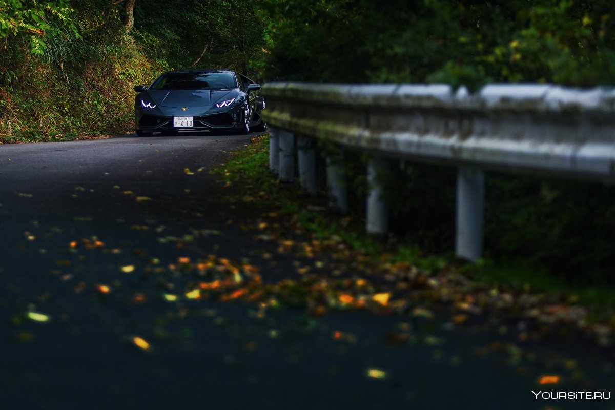Осень дождь дорога машина