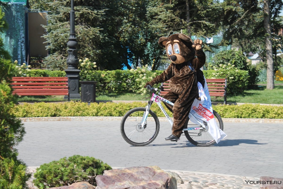 Медведь на велосипеде на улице