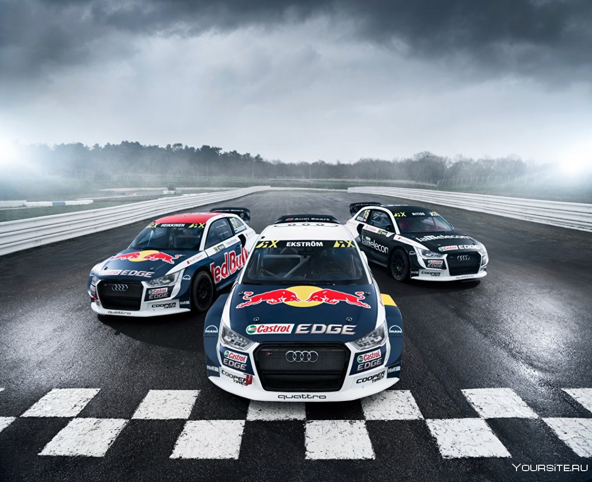 Audi s1 Rallycross