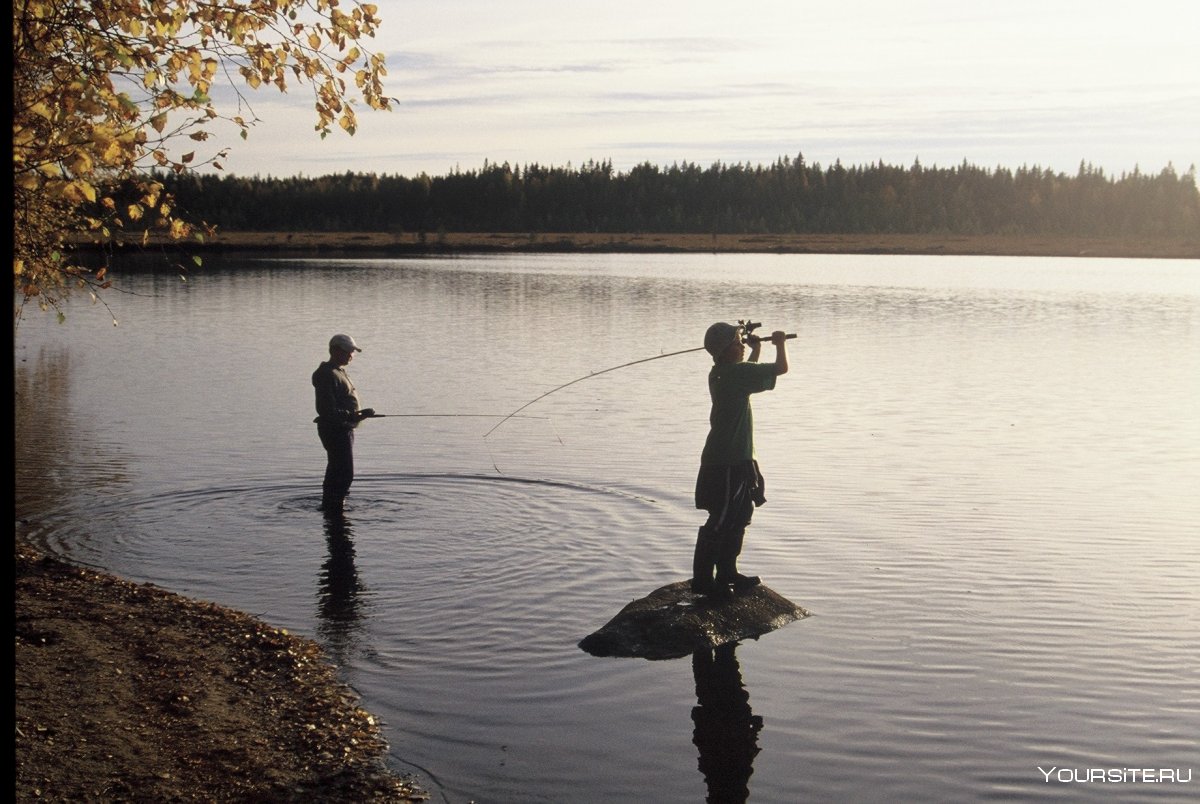 Рыбалка на берегу озера