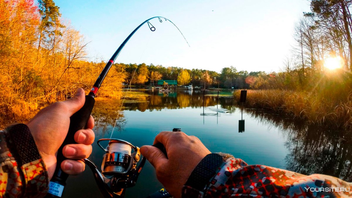 Природа рыбалка