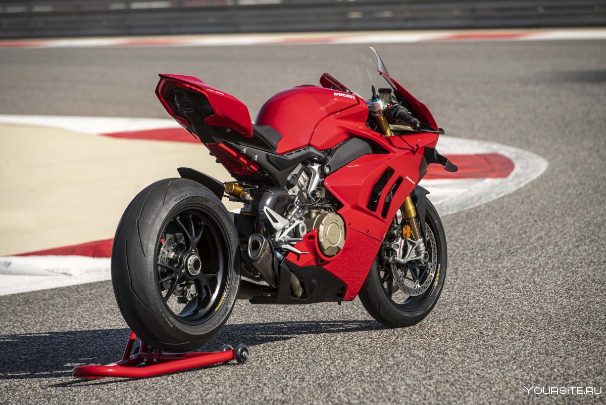 Ducati v4 2020