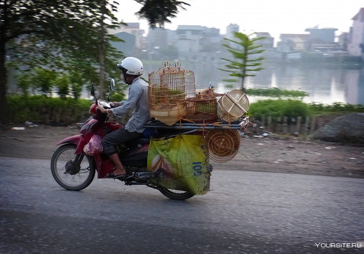 Мотороллер во Вьетнаме