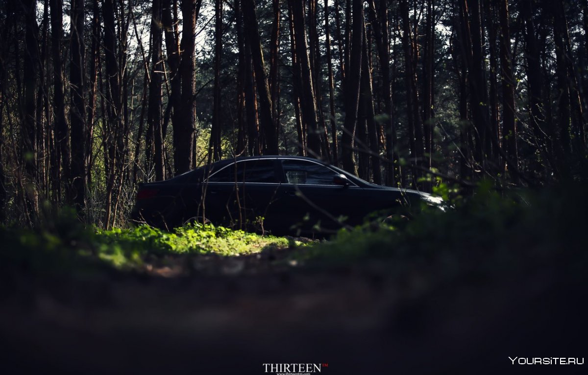 Черная машина в лесу