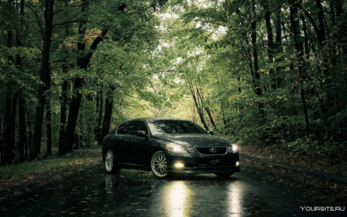 Автомобиль в лесу