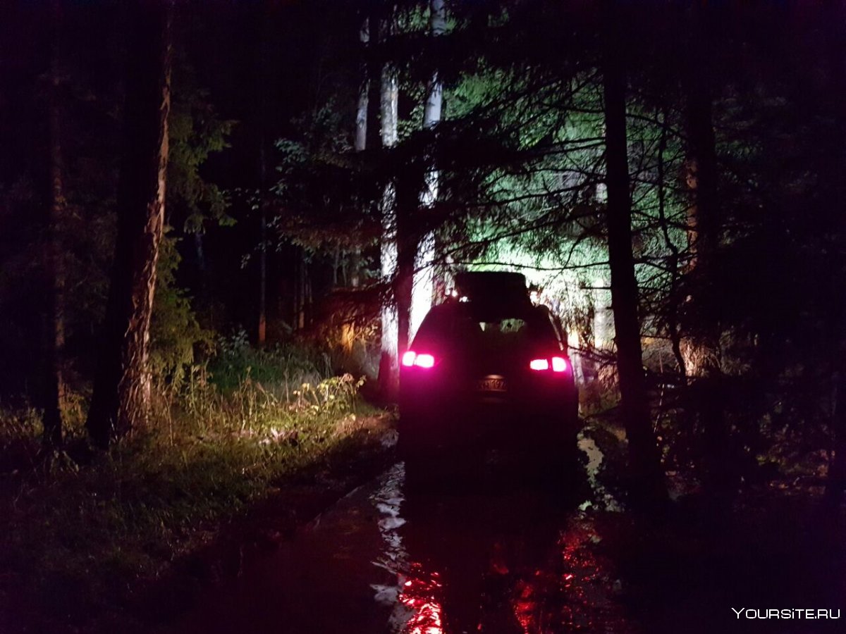 Джип ночью в лесу