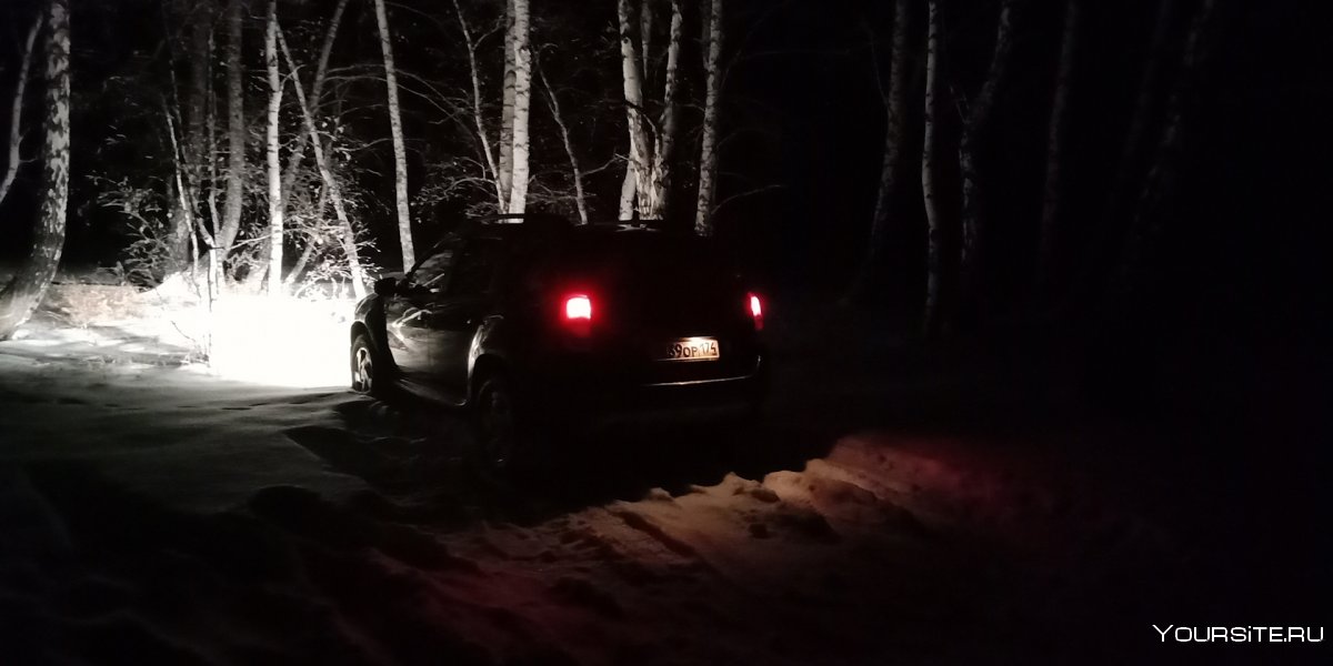 Тачка ночью в лесу