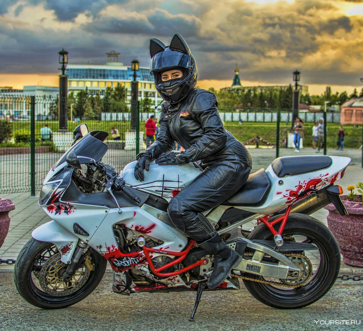 Мотоцикл мото кошки
