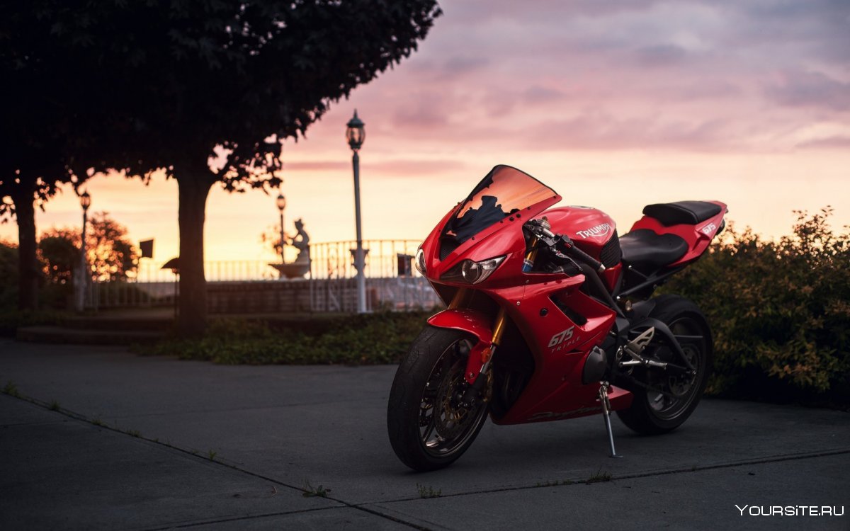 Triumph Daytona 675 Red