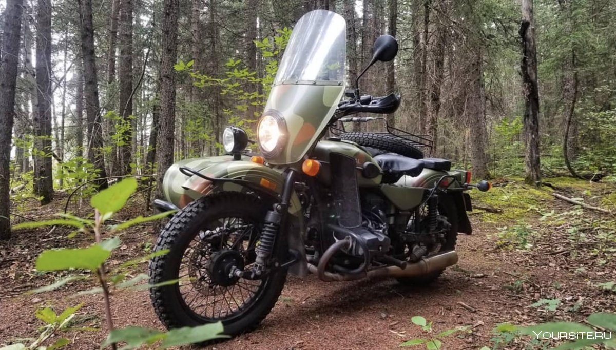 Мотоцикл Урал в лесу